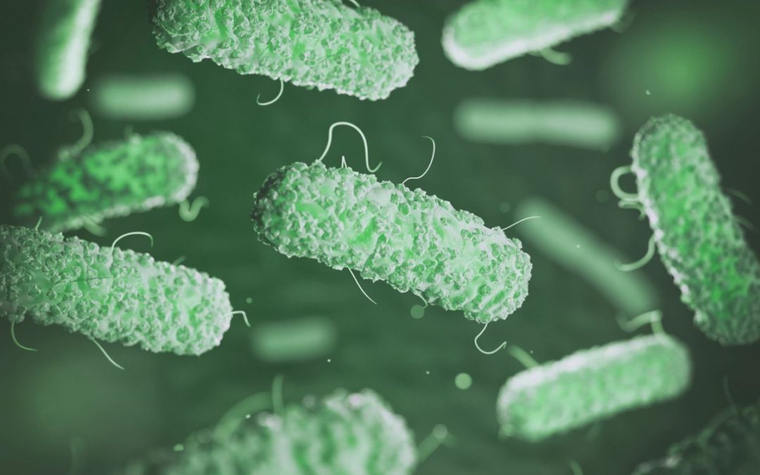 Control y prevención de la Legionella: una bacteria peligrosa de la que debes protegerte